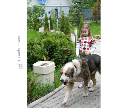 Биокамин Bioteplo Stump малый по цене 86 625 руб.