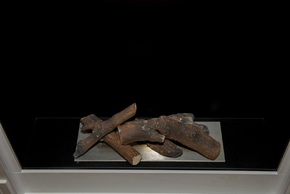 Декоративные элементы СОСНА МАКСИ по цене 6 900 руб.