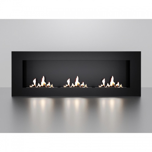 Биокамин встраиваемый W250III PremiumFire