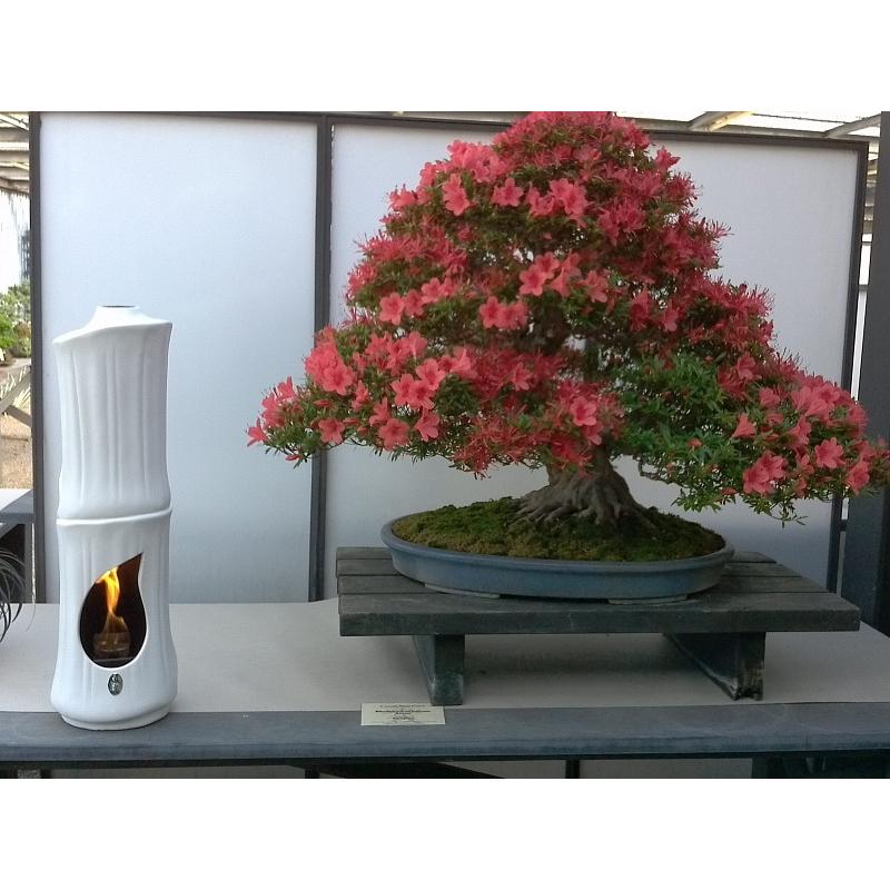 Керамический биокамин RG di Romagnioli e Giardini Bamboo по цене 89 900 руб.