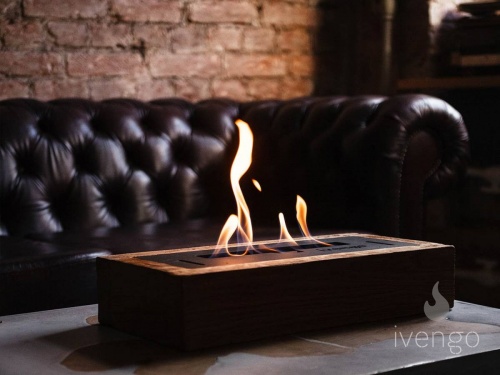 Биокамин Ivengo Coob